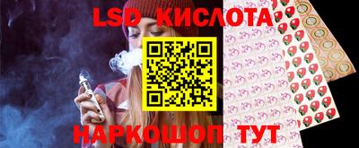 дмт Новозыбков