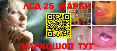 прущие грибы Обнинск