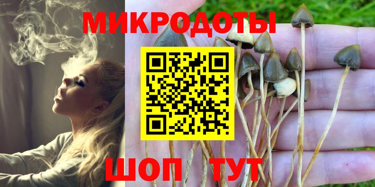 закладка  Псилоцибиновые грибы Magic Shrooms  Вход с VPN  Батайск 